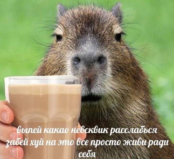 kkkk