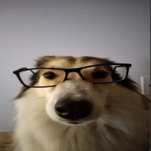 illuniks