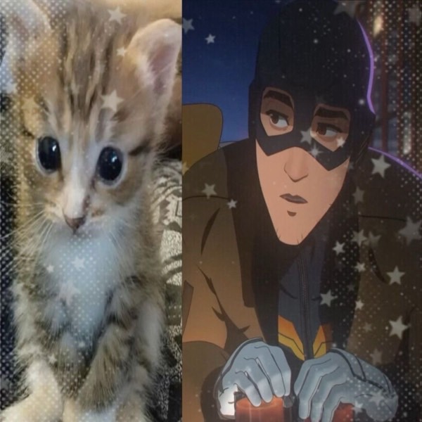 Jax