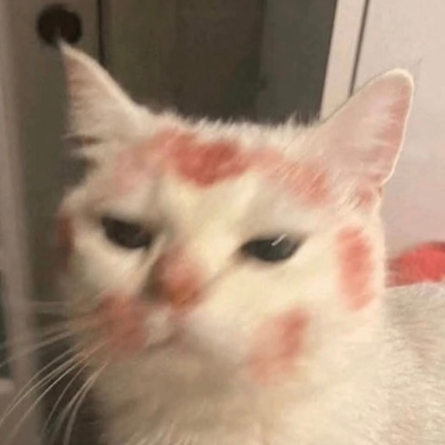 cooluser7