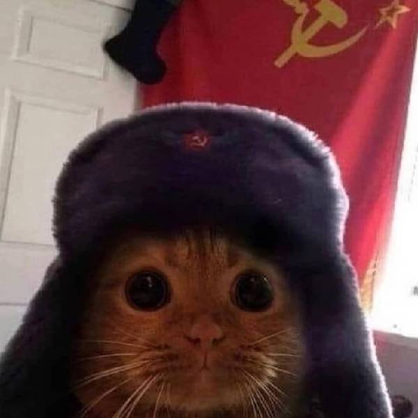 Lan
