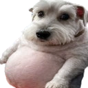 Laitocomfy
