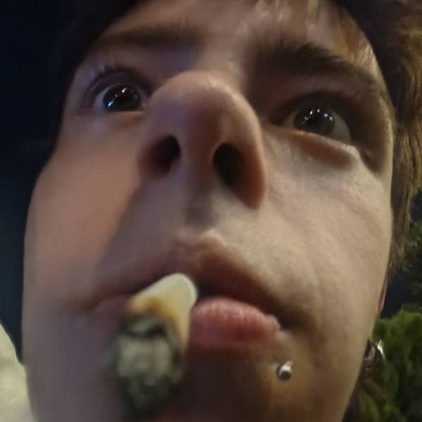 adamsete